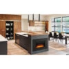 Napoleon Cinema Glass 24 Built-In Electric Fireplace With Glass- NEFB24HG-3A