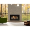 Bellingham 38 Rectangular Gas Fireplace - Kozy Heat