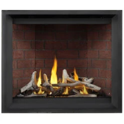 Altitude X 42" Fireplace - Napoleon -Fireplace Shop 1 68812.1638803257