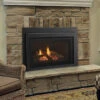 Jasper Medium 30" Direct Vent Fireplace Insert | Majestic