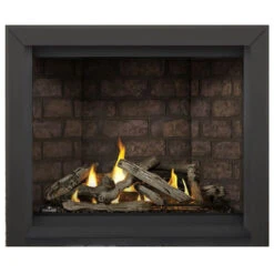 Altitude X 42" Fireplace - Napoleon -Fireplace Shop 2 00996.1638803257
