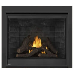 Ascent Deep 42 Fireplace - Napoleon -Fireplace Shop 2 78625.1639143537