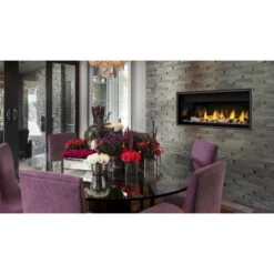 Ascent 46 Linear Gas Fireplace (Electronic Ignition) - Napoleon