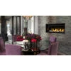 Ascent 46 Linear Gas Fireplace (Millivolt Ignition) - Napoleon