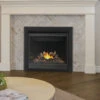 Ascent BX 36 Fireplace - Napoleon