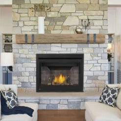 Ascent BX 42 Fireplace - Napoleon