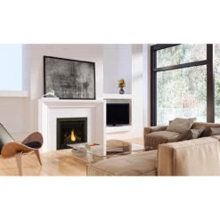 Ascent 30 Electronic Ignition Gas Fireplace - Napoleon