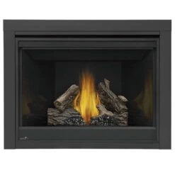 Ascent 42 Fireplace - Napoleon -Fireplace Shop B42 3 27786.1640019514