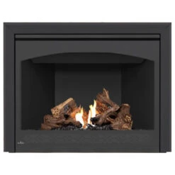 Ascent 42 Fireplace - Napoleon -Fireplace Shop B42 4 39651.1640019514