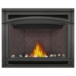 Ascent 42 Fireplace - Napoleon -Fireplace Shop B42 5 31632.1640019514