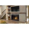 Ascent 46 Electronic Ignition Gas Fireplace - Napoleon