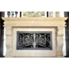 Catalina Rectangular Fireplace Door - Wrought Iron