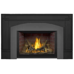Oakville 3 Millivolt Ignition Gas Fireplace Insert - Napoleon -Fireplace Shop GDI3N 64484.1640682974