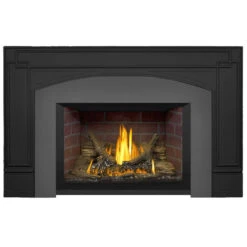 Oakville 3 Electronic Ignition Gas Fireplace Insert - Napoleon -Fireplace Shop GDI3N 64484.1640682974.1280.1280 30732.1640683077