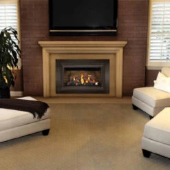 Inspiration Gas Fireplace Insert - Napoleon -Fireplace Shop GDIZC N 4 63050 00964.1640963462