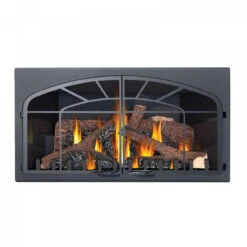 Inspiration Gas Fireplace Insert - Napoleon -Fireplace Shop GDIZC N 5 10615 72073.1640963432