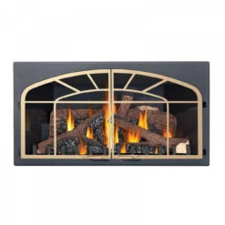 Inspiration Gas Fireplace Insert - Napoleon -Fireplace Shop GDIZC N 7 44191 50342.1640963432
