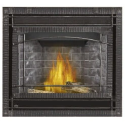 Ascent X 36 Millivolt Ignition Fireplace - Napoleon -Fireplace Shop GX36 2 90678.1639495906.1280.1280 90659.1639496179
