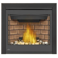 Ascent X 36 Millivolt Ignition Fireplace - Napoleon -Fireplace Shop GX36 3 44343.1639495906.1280.1280 87259.1639496179