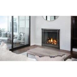 Altitude X 42" Fireplace - Napoleon