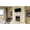 Ascent X 36 Electronic Ignition Fireplace - Napoleon