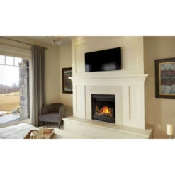 Ascent X 36 Millivolt Ignition Fireplace - Napoleon