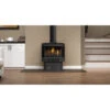 Haliburton Direct Vent Gas Stove (Electronic Ignition) - Napoleon
