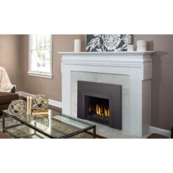 Oakville 3 Glass Gas Fireplace Insert - Napoleon