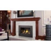 Oakville X3 Gas Fireplace Insert - Napoleon