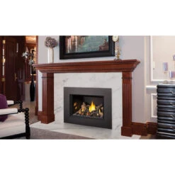 Oakville X3 Gas Fireplace Insert - Napoleon