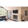 Oakville X4 Gas Fireplace Insert - Napoleon