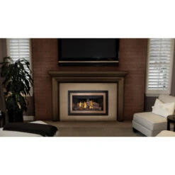 Inspiration Gas Fireplace Insert - Napoleon