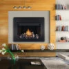 Napoleon HD46NTSB Clean Face High Definition Direct Vent Gas Fireplace