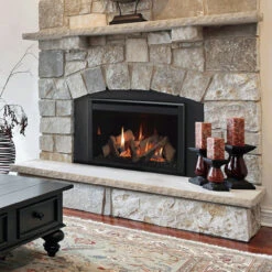 Ruby 25" Direct Vent Gas Fireplace Insert | Majestic