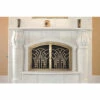 Alexandria Arched Fireplace Door - Wrought Iron