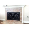 Autumn Rectangular Fireplace Door - Wrought Iron