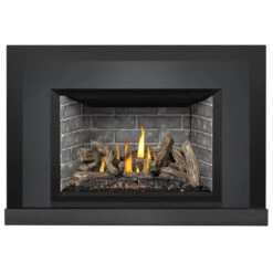Oakville X4 Gas Fireplace Insert - Napoleon -Fireplace Shop gdix4n 33643.1640689326