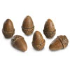 Real Fyre AC-6-6 Acorns (Case Of 6)