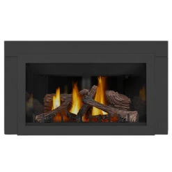 Inspiration Gas Fireplace Insert - Napoleon -Fireplace Shop inspiration GDIZC NSB MainPadded 1000px 00967.1640963435