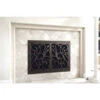 Poseidon Rectangular Fireplace Door - Wrought Iron